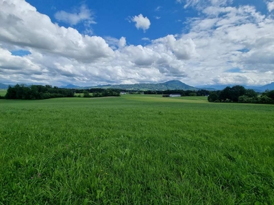 Liebevolle 2 Zi-Garten-Whg in Elixhausen