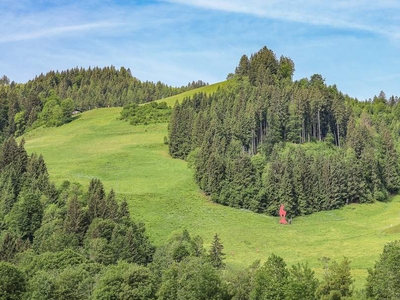 Ski In - Ski Out an der Hahnenkammbahn mit Streif-Blick