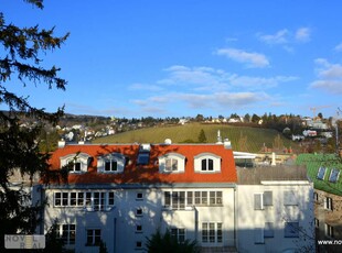 DORNBACH - TERRASSENWOHNUNG MIT SAUNA UND GARAGE