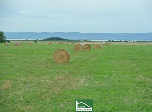 MODERNES, cooles Design, tolle Ausstattung - DURCHDACHTE Grundrisse für Ihren Wohntraum– PANNONIA SEEBLICK- immer Urlaubsfeeling - JETZT ANFRAGEN