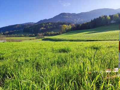 Sonniger, Ruhiger Baugrund in Zentrumsnähe von Seeboden am Millstättersee