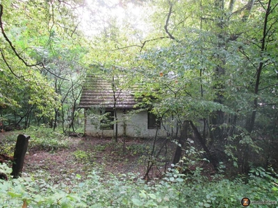 Grundstück mit Altbestand (Lehmhaus) in Waldrandlage