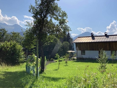 Sonniges Häuschen mit Weinstöcken in Südhanglage