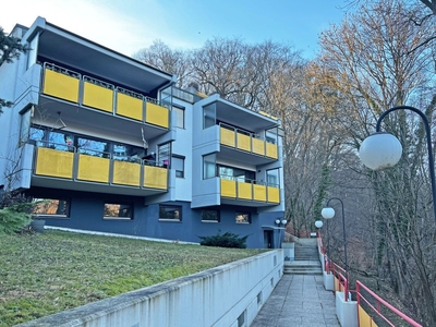 Attraktive Mietwohnung in Grünruhelage gegenüber Schlosspark Laudon