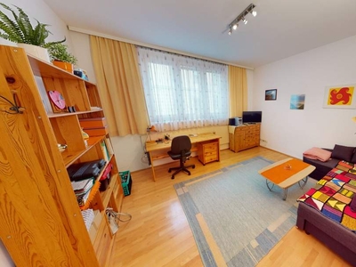 2-Zimmer-Wohnung im Zentrum von Graz