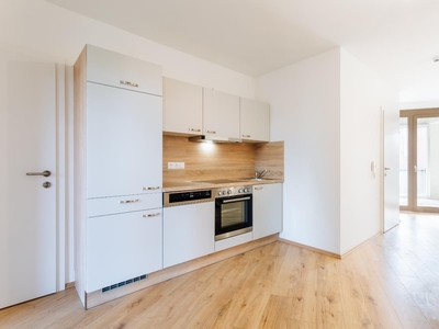 Geförderte Mietwohnung mit 3 Zimmer, Balkon - Vinzenz Muchitsch Strasse TOP 28, [GF,ViMu]