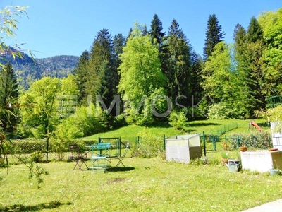 Traumhafte, sonnig gelegene Gartenwohnung in herrlicher Waldrandlage!