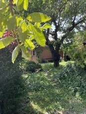 Gartenidyll beim Marchfelder Kanal