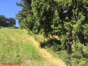 Spitzenpreis! Baubwilligung vorhanden! 2 Grundstücke in Weidlingbacher Südhanglage - auch Einzeln verkäuflich