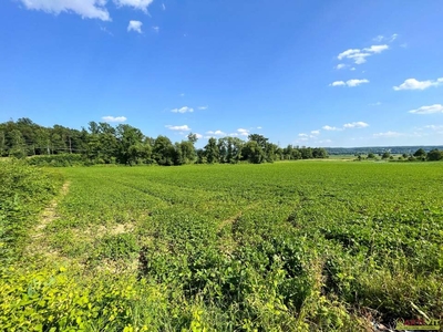 5 Min. vor Jennersdorf. - Großer Wohnbau-Grund in Ruhelage. - Naturnähe am Ende einer Sackgasse.