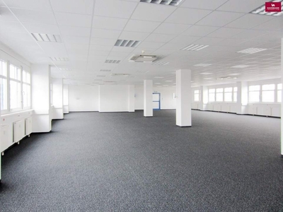 Büro 400 m2 südlich von Wien in Wr. Neudorf