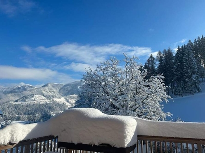 Charmantes Landhaus in sonniger Panoramalage samt 360° Bergblick!