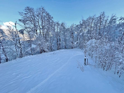 Grundstück mit 1.600 m² direkt am Golfplatz von Zell am See