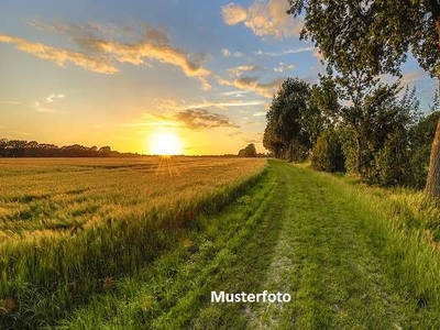 Einfamilienhaus mit Landwirtschafts- und Waldfläche