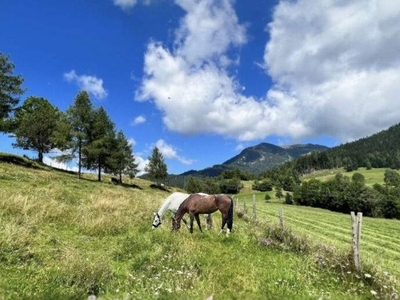 Friesach - St. Salvator: Herrliche landwirtschaftliche Fläche mit Almfeeling auf rd. 1.000 m Seehöhe