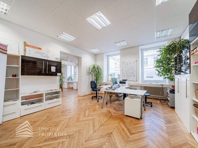 Großzügiges 4-Zimmer Büro mit 4-Zimmer Wohnung, Nähe Steiner Tor