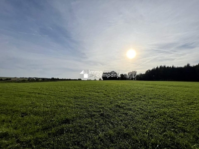 Landwirtschaftlicher Grund mit knapp 1 Hektar