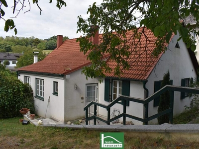 Ländliche Idylle im Burgenland: Charmantes Landhaus mit 4 Zimmern, 130 m², Garten, Terrasse, u.v.m.. - WOHNTRAUM