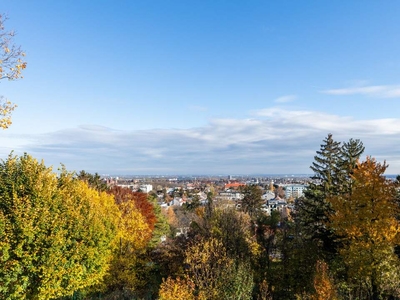 Mödlinger Villenviertel: Herrliches Baugrundstück mit Fernblick über Wien