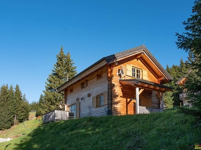 Neuer Preis! Alm-Chalet auf der Koralpe. - Ideal zur Vermietung. - Fußläufig zum Ski-Lift. - Herrlicher Ausblick.