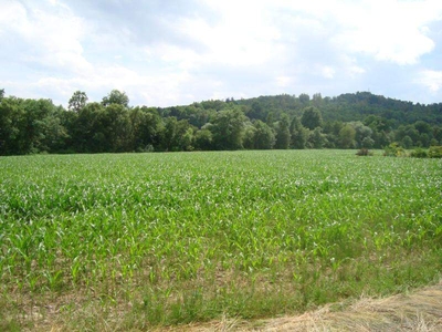 Noch 1 Baugrund verfügbar - Baugrund in der Großgemeinde Fürstenfeld - Ortsteil Altenmarkt!