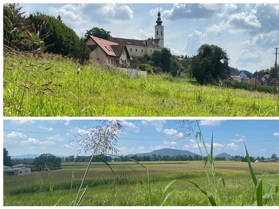 SCHLOSSBLICK ODER BLICK INS UNVERBAUTE GRÜN GENIESSEN! Lichtdurchflutete Gartenwohnung mit dem