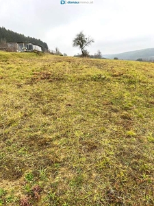 Sonniges, großes Baugrundstück in Ruhelage mit angrenzenden Grünland in Olbendorf Nähe Stegersbach