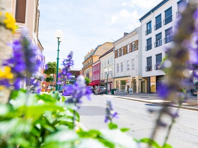 Traditionshaus am Hauptplatz - offen für Neues