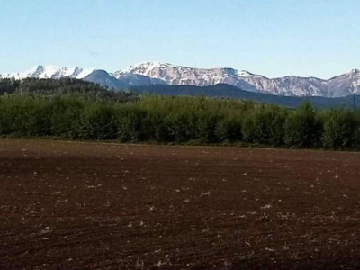 Ebenes Baugrundstück in Moosburg, Kärnten - 910m² für Ihr Eigenheim!