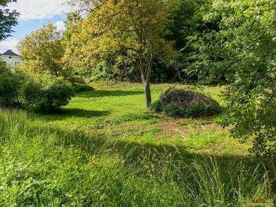 Update! - Freiland Grundstück an der Grazer Stadtgrenze. - Vielfältige Nutzungsmöglichkeiten.