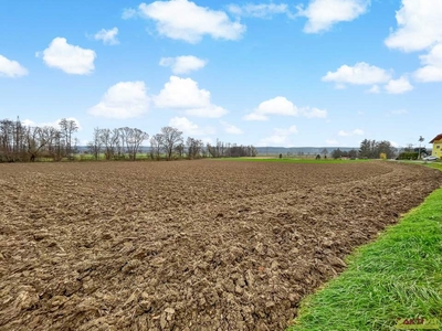 Update! - Großer Wohnbau-Grund in Ruhelage. - 5 Min. vor Jennersdorf. - Naturnähe am Ende einer Sackgasse.