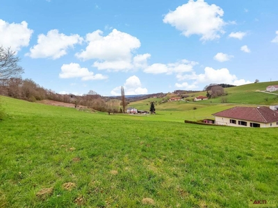 Neuer Preis! - Großer Wohnbau-Grund. - Zwischen Jennersdorf und Fürstenfeld.