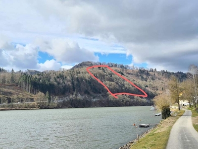 Wald größtenteils Hanglage aber zufahrbar - 82.000 m2