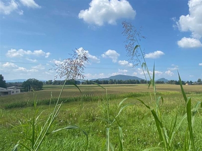 BAUSTART ERFOLGT! Wohnen mit Blick auf den Wildoner Berg! Sonnige Balkonwohnung Nähe Leibnitz mit dem Luxus dieser Aussicht