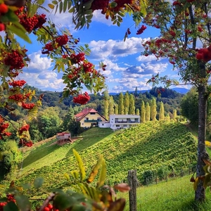 Weingut mit Gästezimmer, drei Betriebswohnungen in Leutschacher Aussichtslage PROVISIONSFREI