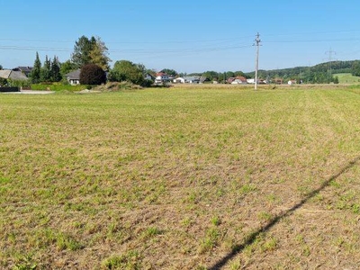 Gewerbeland mit 4000 m² oder doch 8.000m²?!