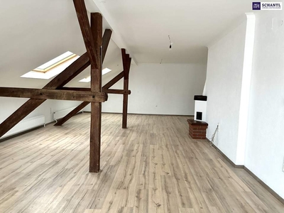 Geniales Penthouse (auch Office möglich) mit 180 m² Wohnfläche, zwei großen Terrassen und offenen Kamin!