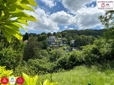 Grün-Paradies in Weidling bei Klosterneuburg - 720 m2 Grundstück