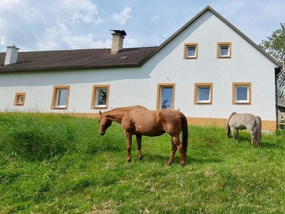 PROVISIONSFREI-Exklusives, hochwassersicheres Wohnhaus mit 3 Hektar Grund und Stallungen