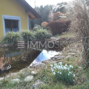 Wohntraum inmitten einer ruhigen Idyllischen Waldlichtung