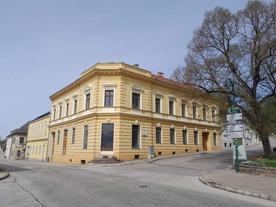 WOHNEN MIT STIL UND FLAIR IM BÜRGERHAUS SAMT ALTBAUJUWEL: KLEINER, VERWUNSCHENER, GEPFLEGTER GARTEN MIT GROSSZÜGIGER WOHNMÖGLICHKEIT UND ENTWICKLUNGSPOTENTIAL