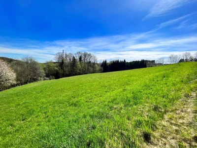 RIES: Leistbares, sonniges Grundstück am Rande von Graz!