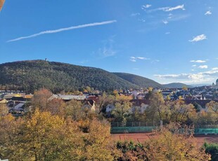 2-Zimmer-Wohnung mit Loggia und toller Aussicht!