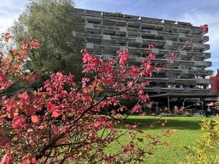 Frisch sanierte 2-Zi-Wohnung mit toller Aussicht, inkl. Autoabstellplatz