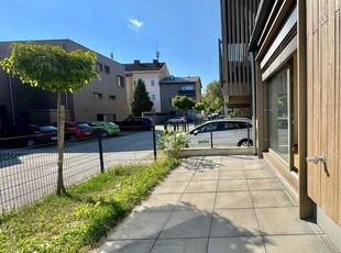 Klagenfurt - LKH: entzückende Maisonettewohnung mit Mini-Garten und sonniger Terrasse