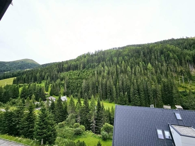 Ferienwohnung mit atemberaubendem Bergblick im Naturparadies Innerkrems