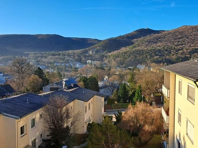 Tolle Familienwohnung mit 4 Zimmern und Fernblick zum Husarentempel