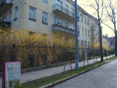 unbefristete, klassische Altbauwohnung in Jahrhundertwendehaus***unbefristet***kleiner Hofgarten