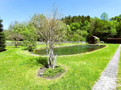 Voitsberg / Zangtal: Teichanlage mit Gartenhaus, Garage, ca. 2000m² Grundstück ist in Umwidmung zu Bauland beantragt