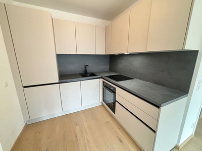 NEU SANIERTES APARTMENT MIT KÜCHE + BALKON + GARAGE in 1180 Wien